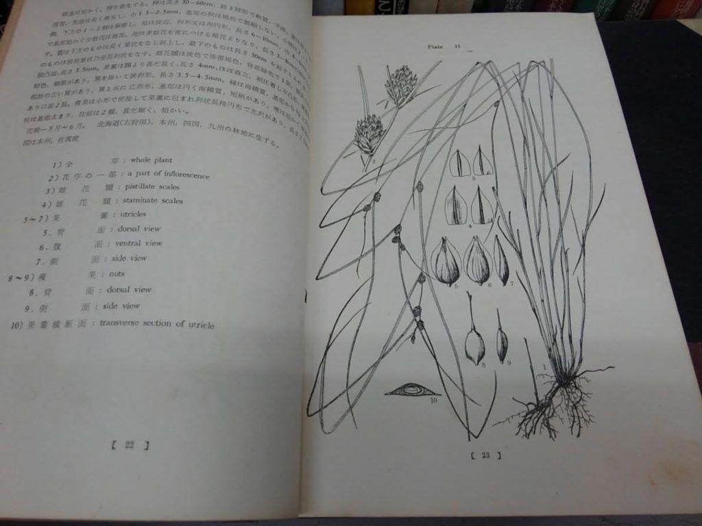 unnamed (2)