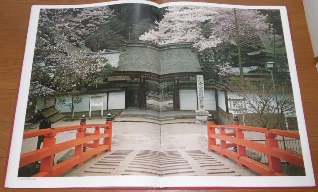 P1100190