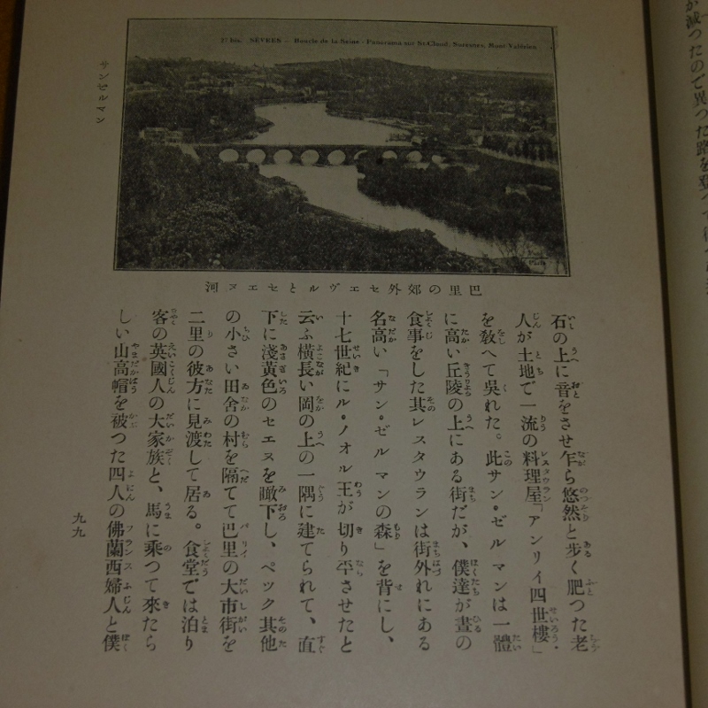 P1100836 (800x800)