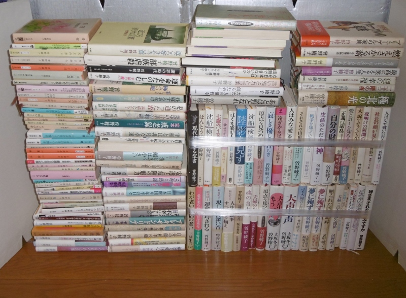 P1110092 (800x587)