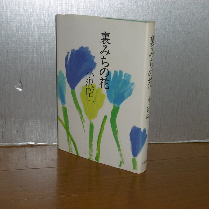 P1110855 (800x800)
