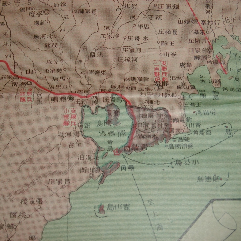 P1110867 (800x800)