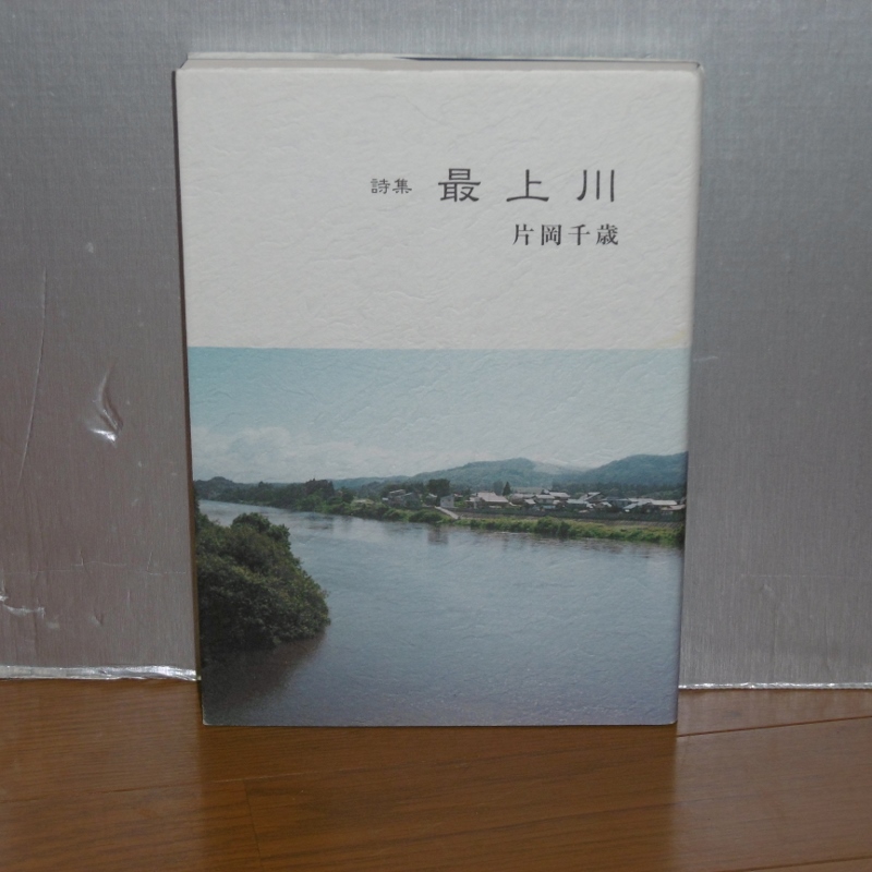 P1120441 (800x800)