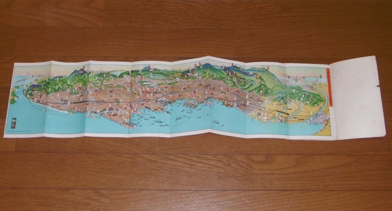 P1130181 (800x431)