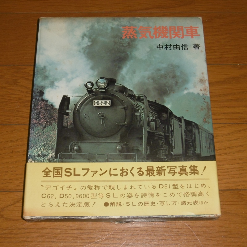 P1130702 (800x800)