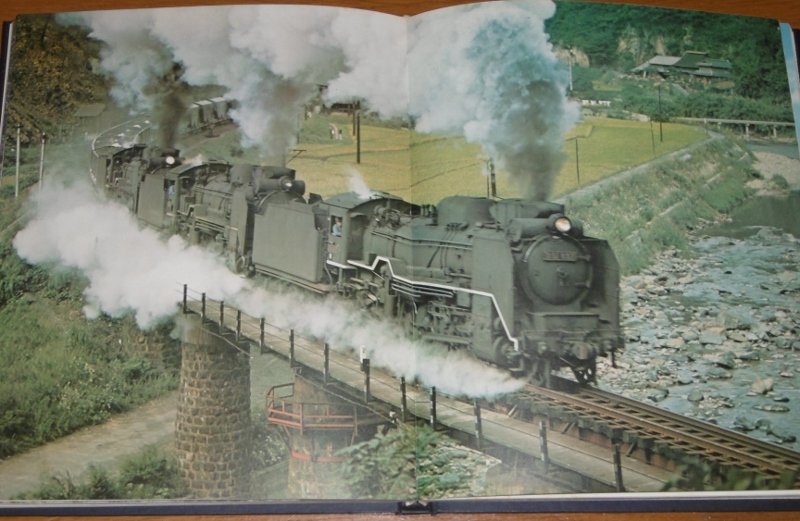 P1130705 (800x521)