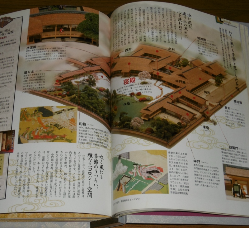 P1150769 (800x732)