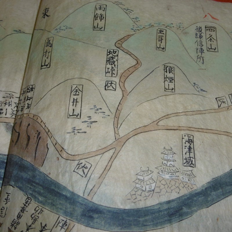 P1190911 (800x800)