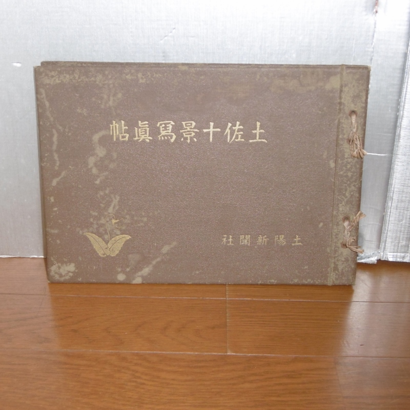 P1210126 (800x800)