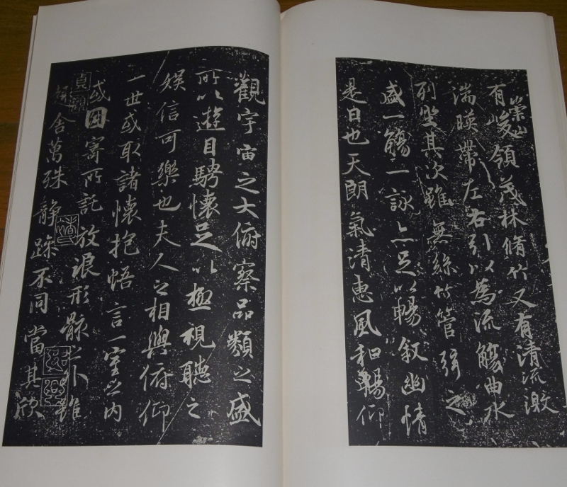 P1210656 (800x688)