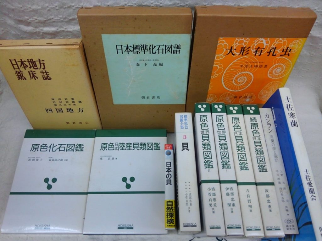KIMG4196