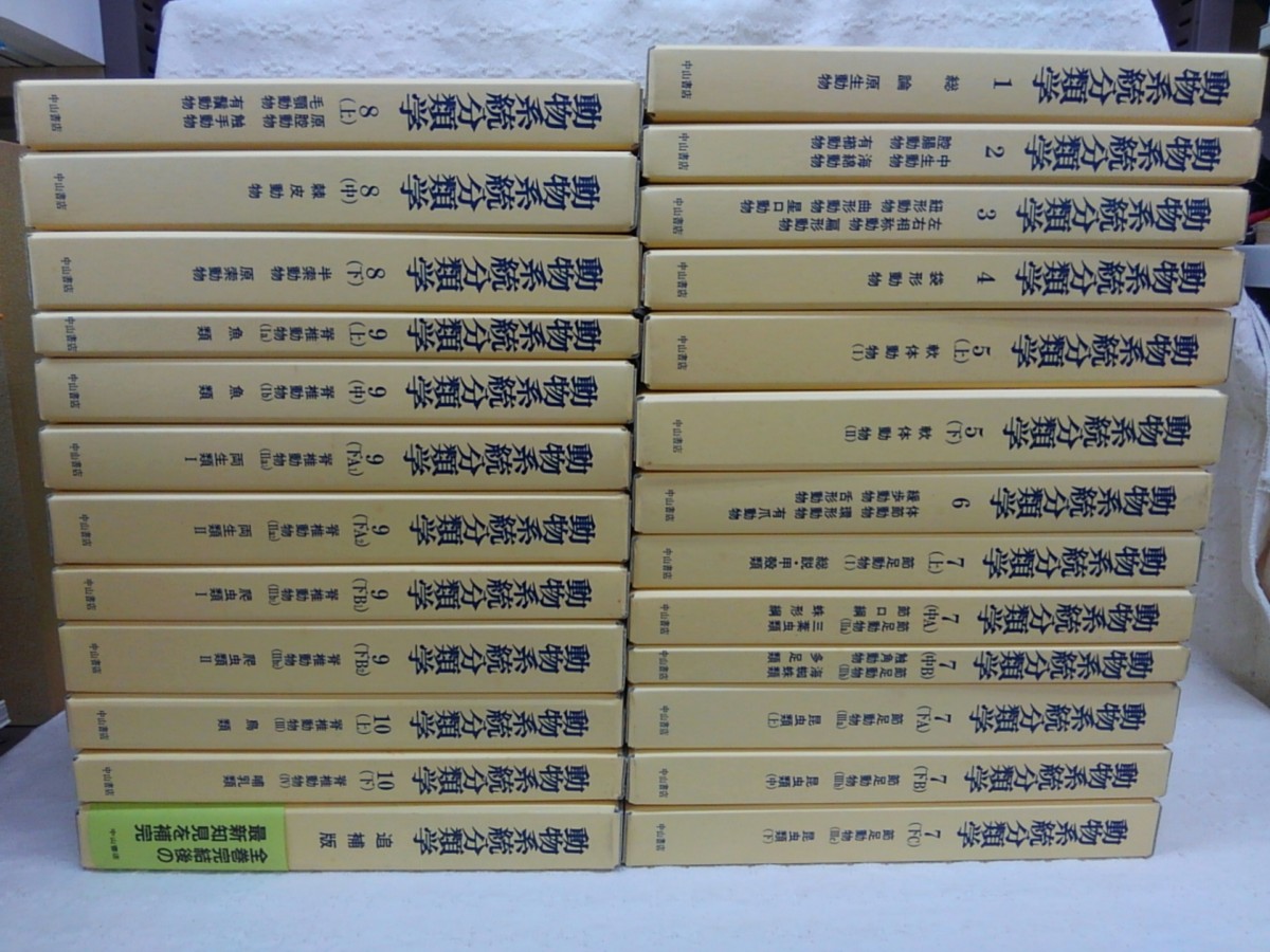 KIMG4772