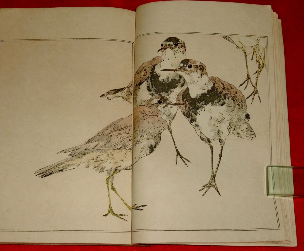 P1230019