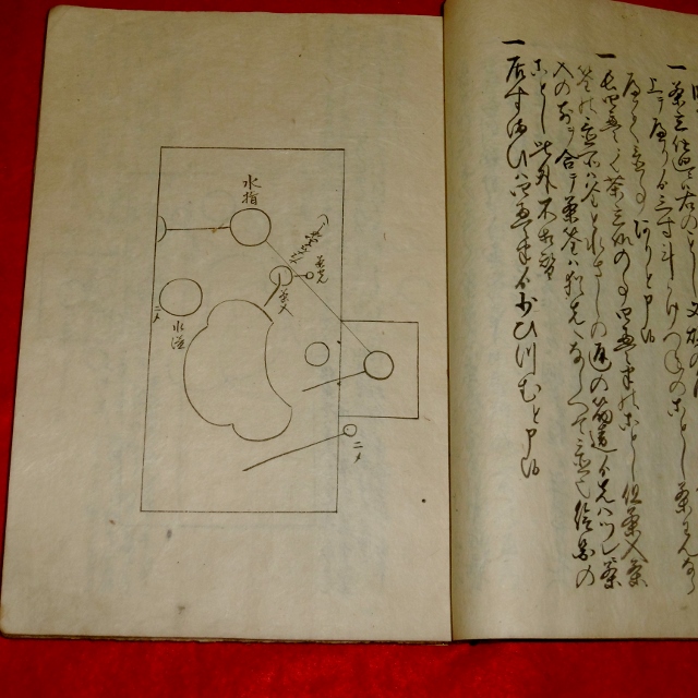 P1320360 (640x640)