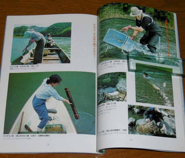 P1330949 (640x546)