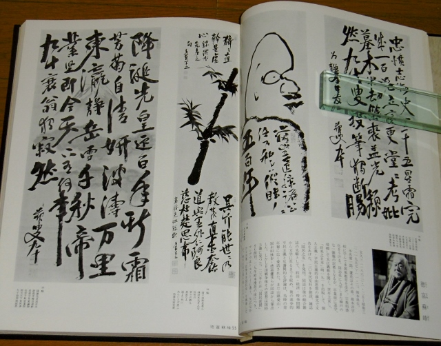 P1340165 (640x502)