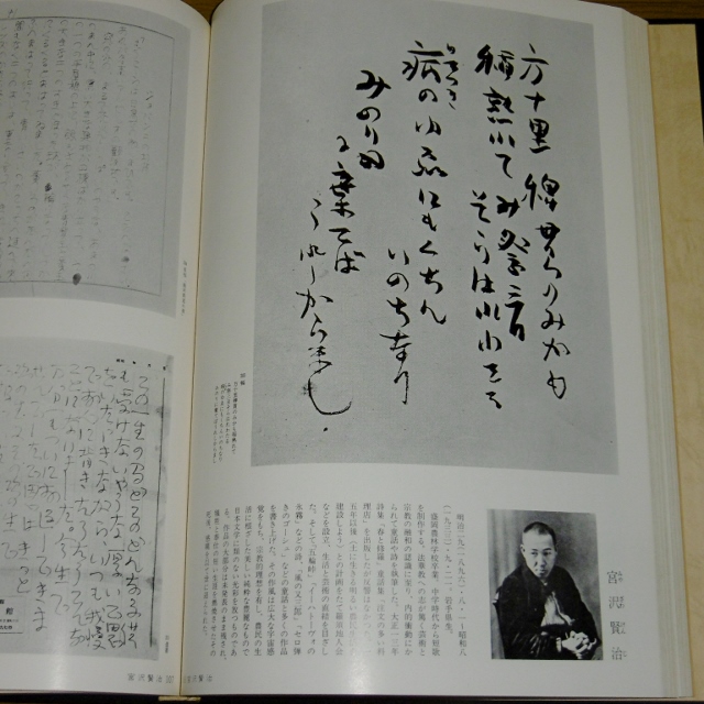 P1340169 (640x640)