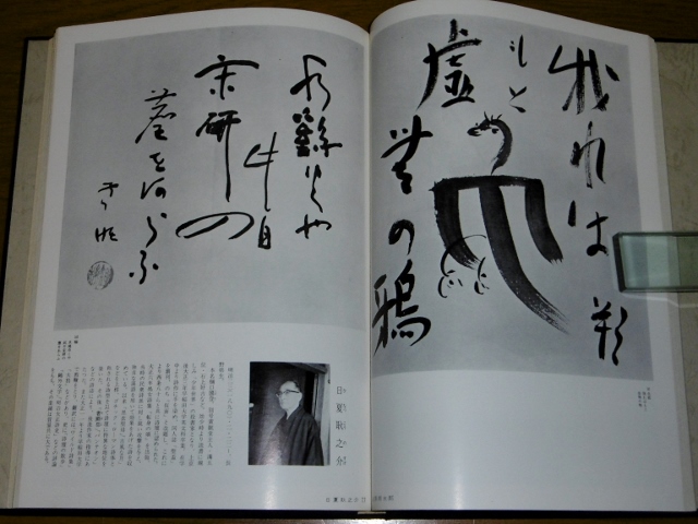 P1340170 (640x480)