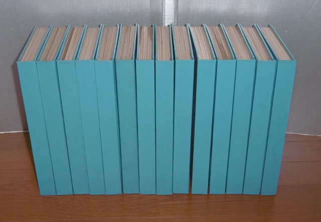 P1360698 (640x443)