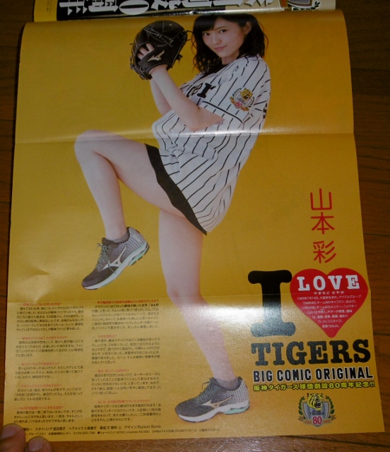 P1390008 (552x640)