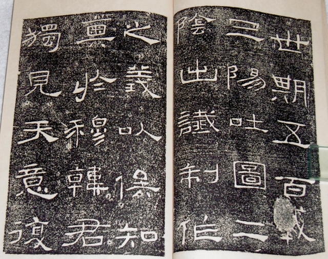 P1410250 (640x505)