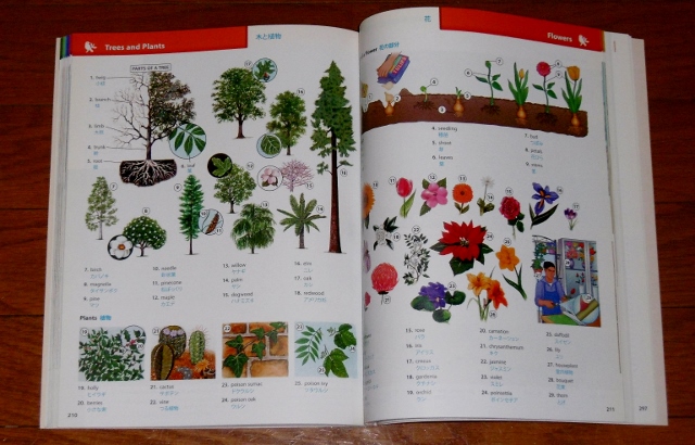 P1420536 (640x410)