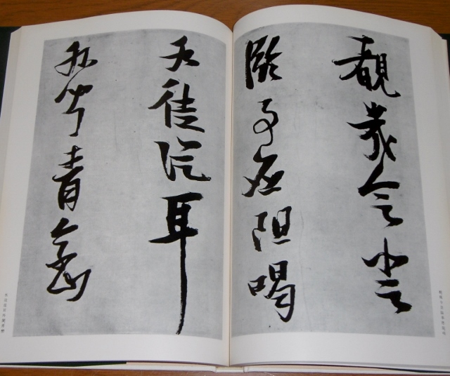 P1420652 (640x536)