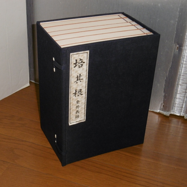 P1430774 (640x640)