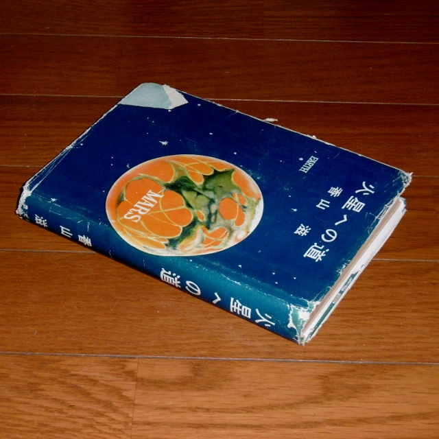 P1450602 (640x640)