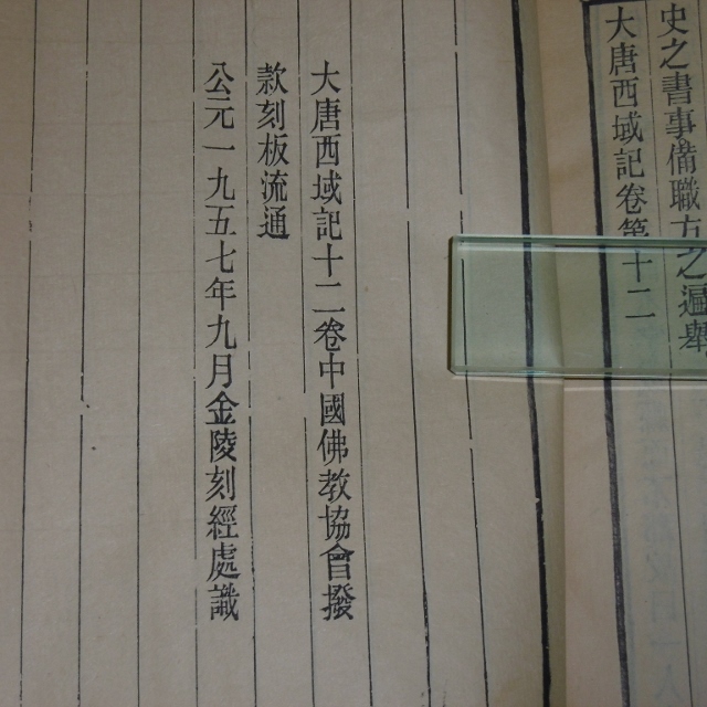 P1470566 (640x640)
