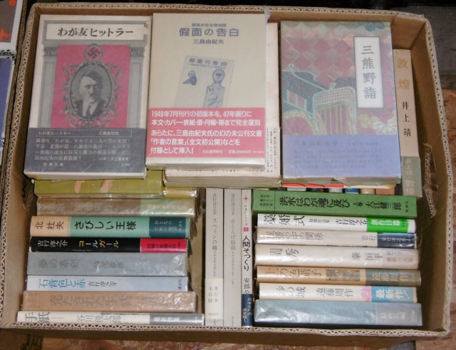 P1480939 (640x491)