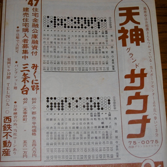 P1500248 (640x640)