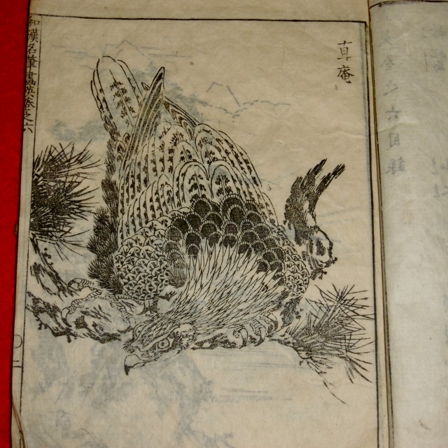 P1310097 (640x640)
