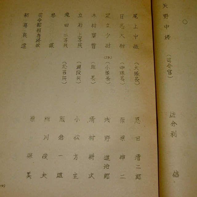 P1540073 (640x640)