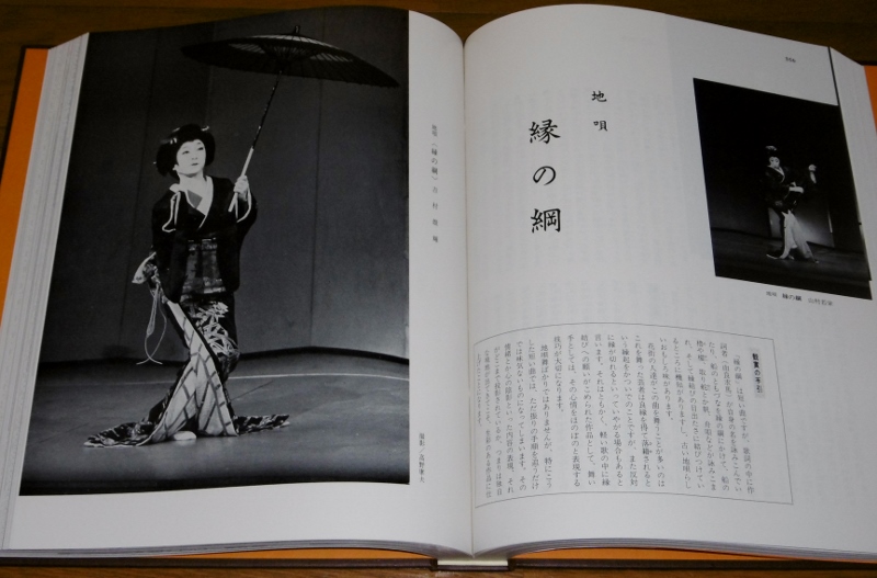 P1250157 (800x527)