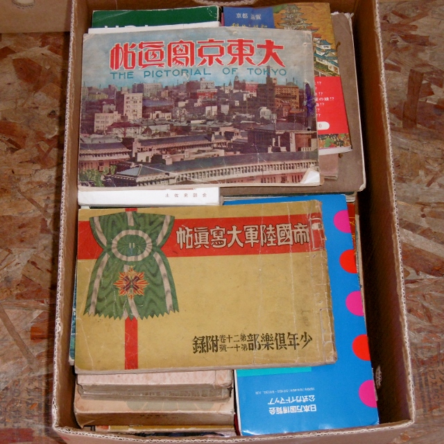 P1560868 (640x640)