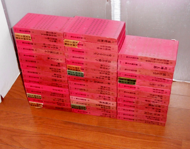 P1570027 (640x503)