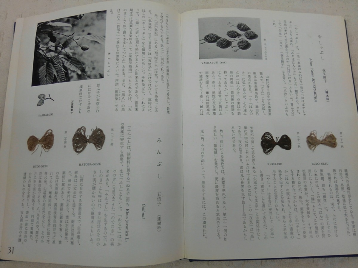 KIMG0830