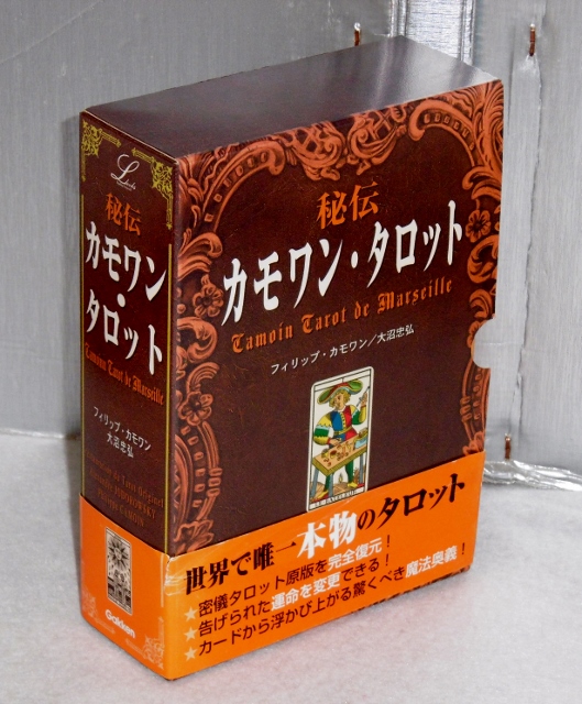 P1570747 (529x640)