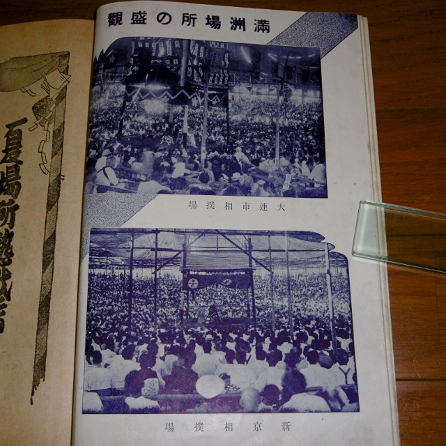 P1570940 (640x640)