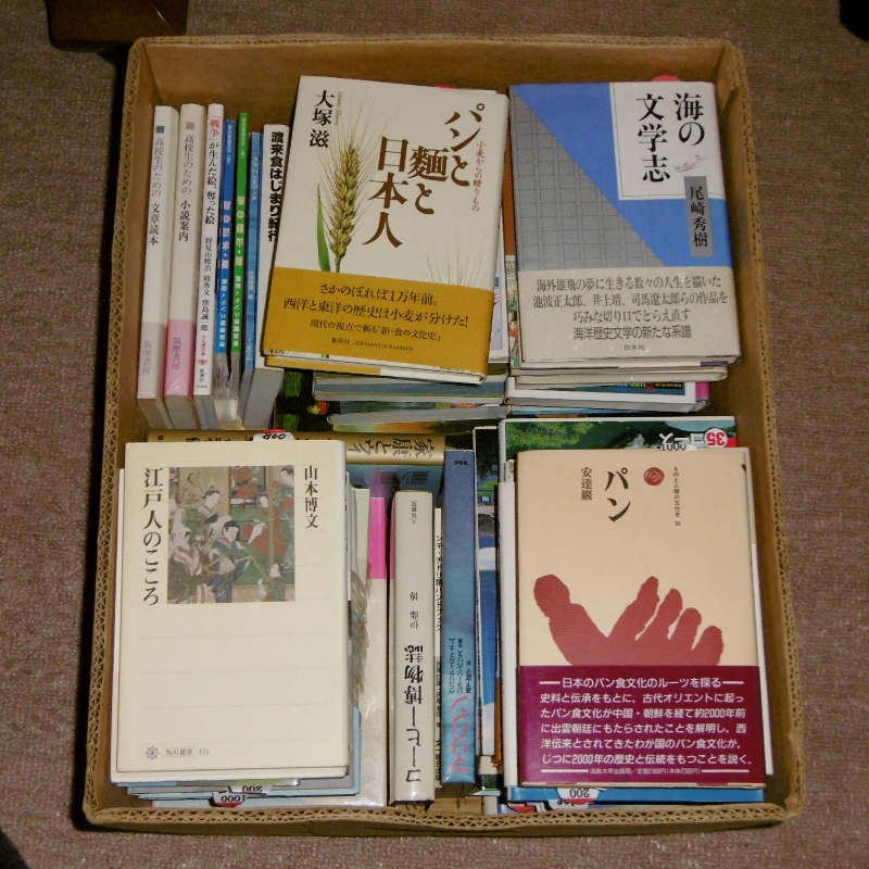 P1600835 (800x800)