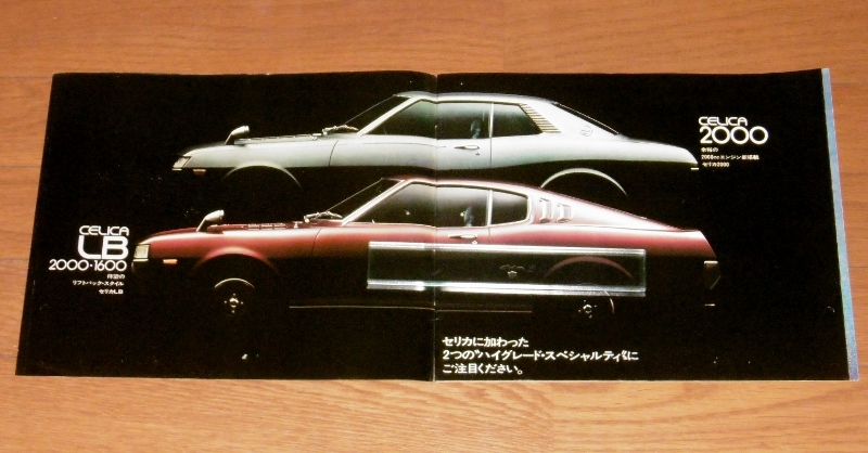 P1600984 (800x418)