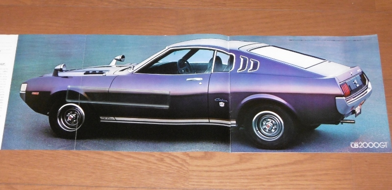 P1600985 (800x388)