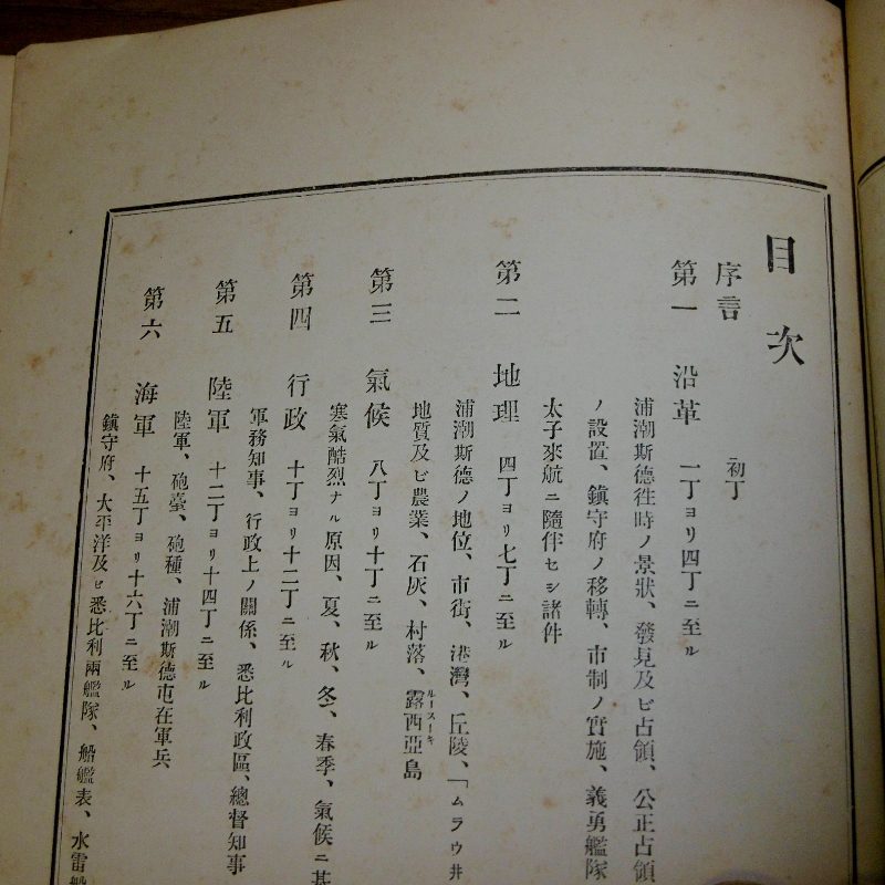 P1610682 (800x800)
