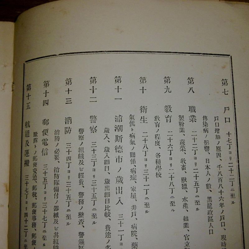 P1610683 (800x800)
