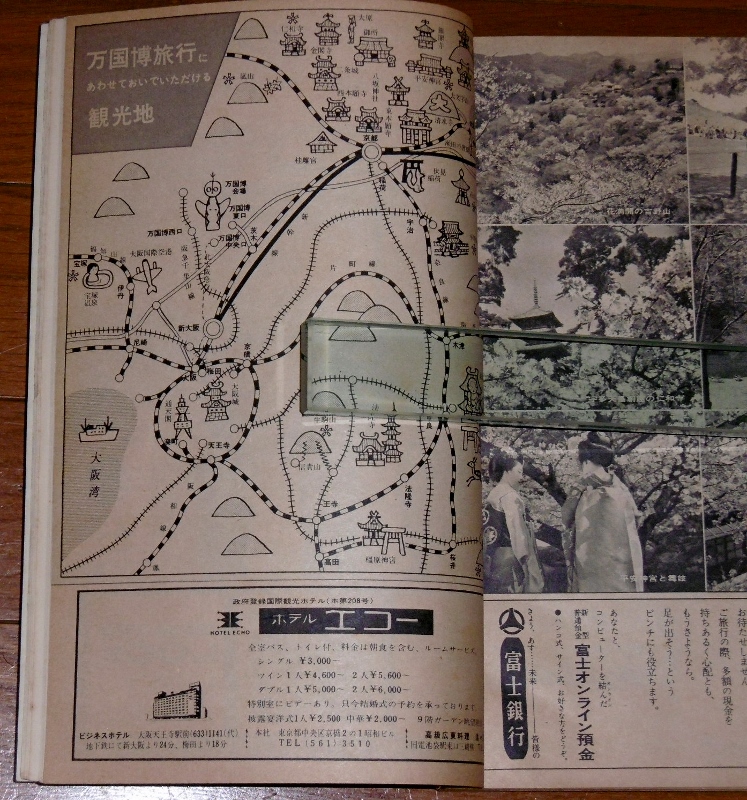 P1620699 (747x800)