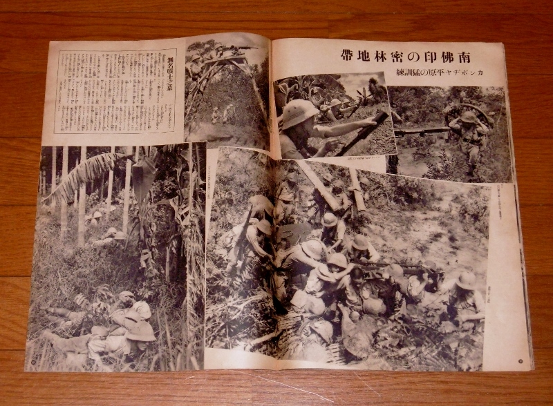 P1620936 (800x588)