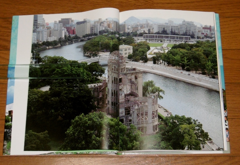 P1630234 (800x551)
