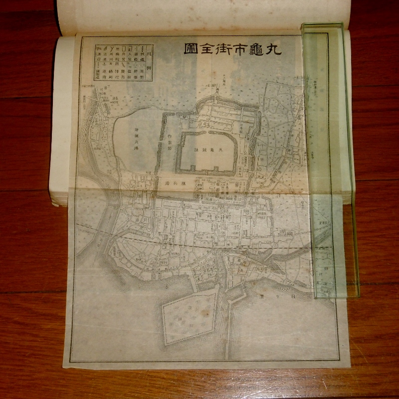 P1630413 (800x800)