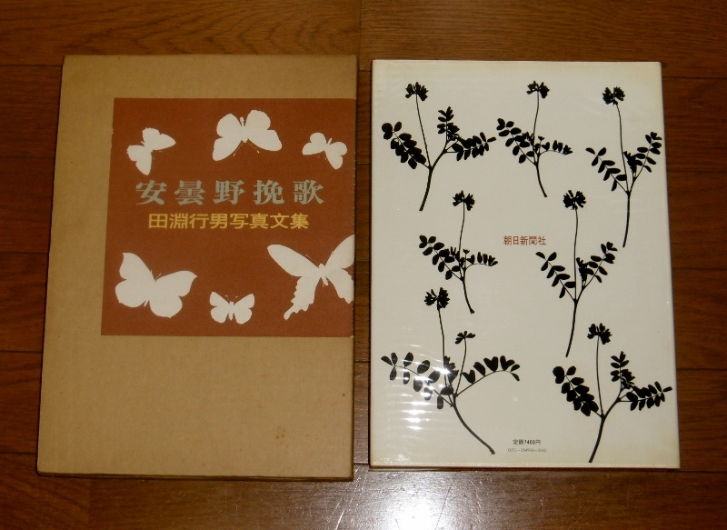 P1640073 (800x583)
